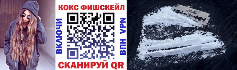 Купить закладки  Полевской  COCAIN Эквадор 