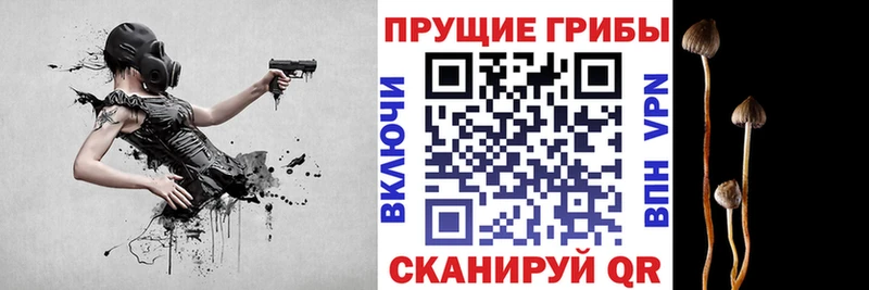 Купить закладки  Полевской  Галлюциногенные грибы GOLDEN TEACHER 